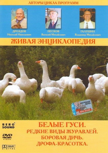 Живая энциклопедия Белые гуси (Белые гуси / Редкие виды журавлей / Боровая дичь / Дрофа красотка) на DVD Живая энциклопедия Белые гуси (Белые гуси / Редкие виды журавлей / Боровая дичь / Дрофа красотка) на DVD