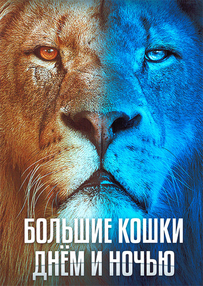 Большие кошки днем и ночью 1 Сезон (6 серий) на DVD Большие кошки днем и ночью 1 Сезон (6 серий) на DVD