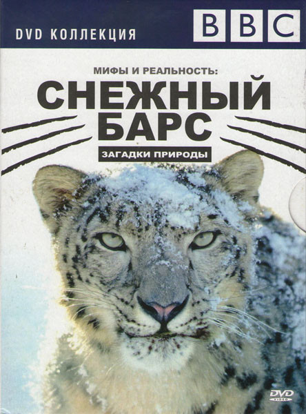 BBC Снежный барс на DVD BBC Снежный барс на DVD