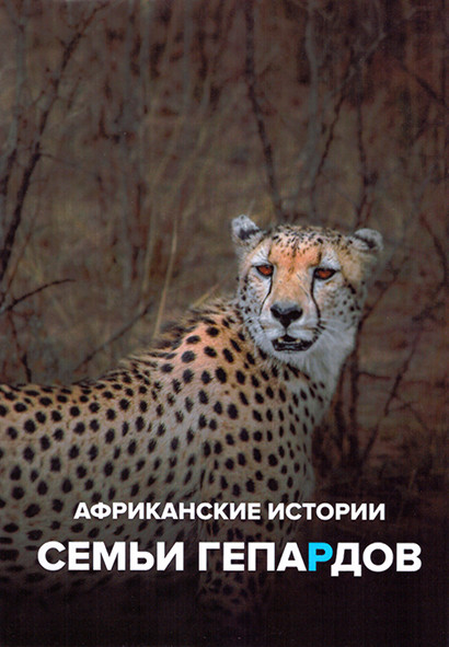 Африканские истории семьи гепардов 1 Сезон (6 серий) на DVD Африканские истории семьи гепардов 1 Сезон (6 серий) на DVD