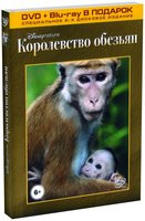 Изображение товара Королевство обезьян (DVD + Blu-ray)