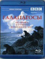 Изображение товара BBC Галапагосы (Blu-ray)*