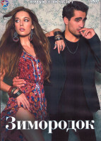 Изображение товара Зимородок 1 Сезон 1 Часть (4DVD)