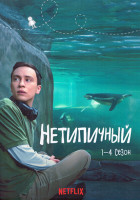 Изображение товара Нетипичный 1-4 Сезон (38 серий) (4DVD)