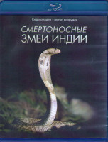 Изображение товара BBC Живой мир Смертоносные змеи Индии (Blu-ray)