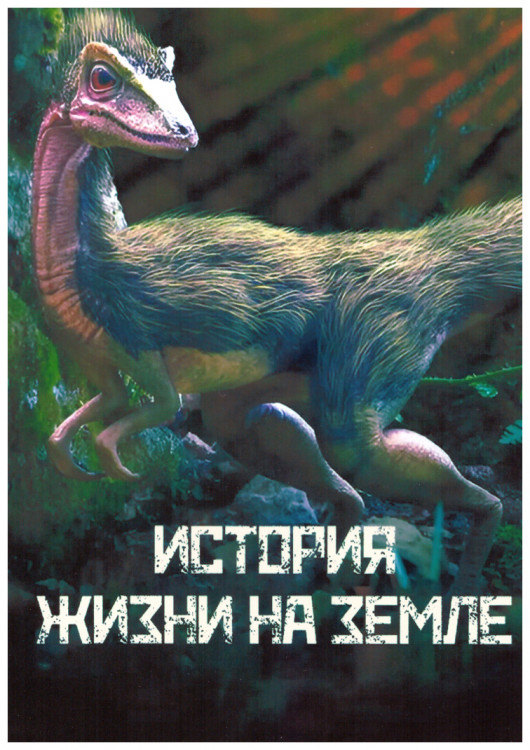 История жизни на земле (4 серии) на DVD