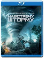 Изображение товара Навстречу шторму (Blu-ray)*