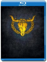 Изображение товара 25 Years of Wacken Snapshots Scraps Thoughts and Sounds (3 Blu-ray)*