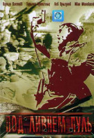 Изображение товара Под ливнем пуль (4 серии)