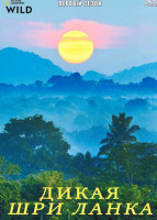 Изображение товара Дикая Шри Ланка 1 Сезон (3 серии)