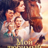 Мой любимый чемпион* на DVD