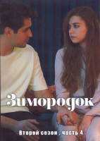Изображение товара Зимородок 2 Сезон 4 Часть (8 серий) (4DVD)