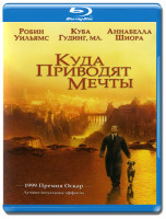 Изображение товара Куда приводят мечты (Blu-ray)*