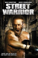 Изображение товара Уличный воин