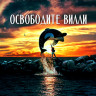Освободите Вилли (Blu-ray)* на Blu-ray Освободите Вилли (Blu-ray)* на Blu-ray