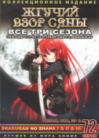 Изображение товара Жгучий взор Сяны 1,2,3 Сезоны (72 серии) / ОВА (1 серия) / ОВА 2 (4 серии) / 2 Спешила / Жгучий взор Сяны Фильм (3 DVD)