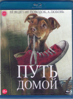 Изображение товара Путь домой (Blu-ray)*
