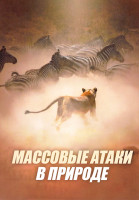 Изображение товара Массовые атаки в природе 1 Сезон (2 серии)