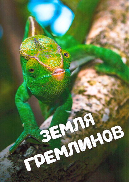 Земля гремлинов 1 Сезон (3 серии) на DVD Земля гремлинов 1 Сезон (3 серии) на DVD