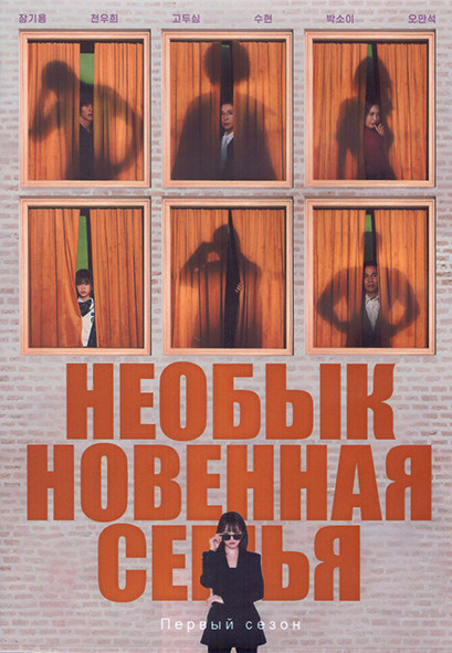 Необыкновенная семья 1 Сезон (12 серий) (3DVD) на DVD