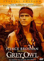 Изображение товара Серая сова (Ричард Аттенборо)