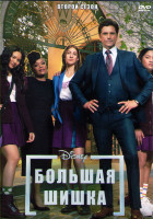 Изображение товара Большая шишка 2 Сезон (10 серий) (2DVD)