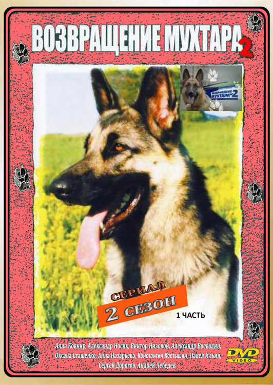 Возвращение Мухтара 2 2 Сезон (50 серий)(2DVD)* на DVD Возвращение Мухтара 2 2 Сезон (50 серий)(2DVD)* на DVD