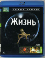 Изображение товара BBC Жизнь 2 Часть (Blu-ray)*