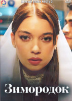 Изображение товара Зимородок 1 Сезон 3 Часть (4DVD)