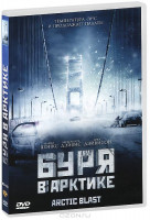 Изображение товара Буря в Арктике