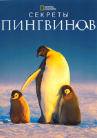 Изображение товара Секреты пингвинов 1 Сезон (3 серии)