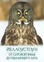 Изображение товара Йеллоустоун От суровой зимы до пылающего лета 1 Сезон (3 серии)